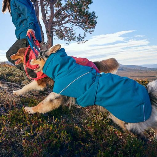 Hurtta Expedition Parka 2 téli kutyaruha | óceán 45