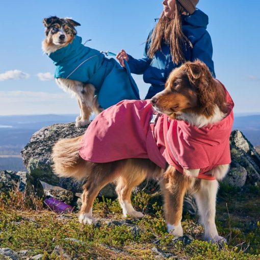 Hurtta Expedition Parka 2 téli kutyaruha | eper 45