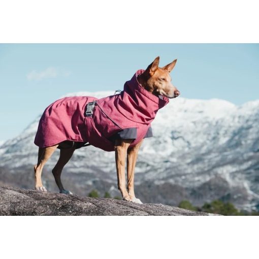 Hurtta Expedition Parka téli kutyaruha | cékla 40XS