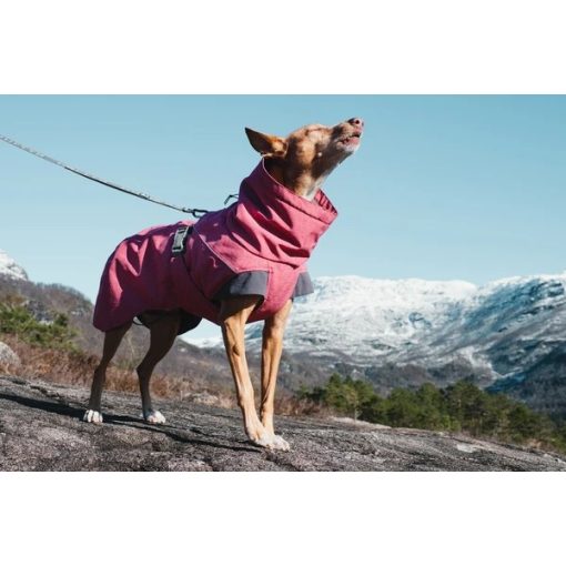 Hurtta Expedition Parka téli kutyaruha | cékla 40XS