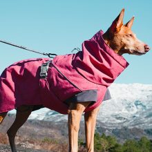 Hurtta Expedition Parka téli kutyaruha | cékla 40XS