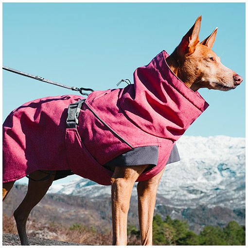Hurtta Expedition Parka téli kutyaruha | cékla 40XS