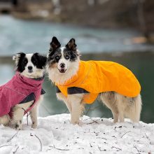 Hurtta Expedition Parka téli kutyaruha | varjútövis 40