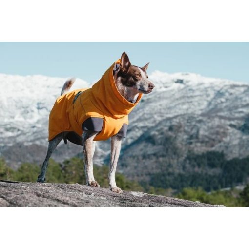 Hurtta Expedition Parka téli kutyaruha | varjútövis 45XS
