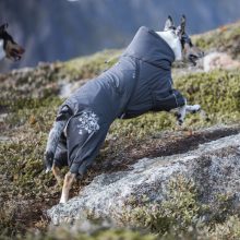 Hurtta Extreme Overall téli overál | gránit 60M