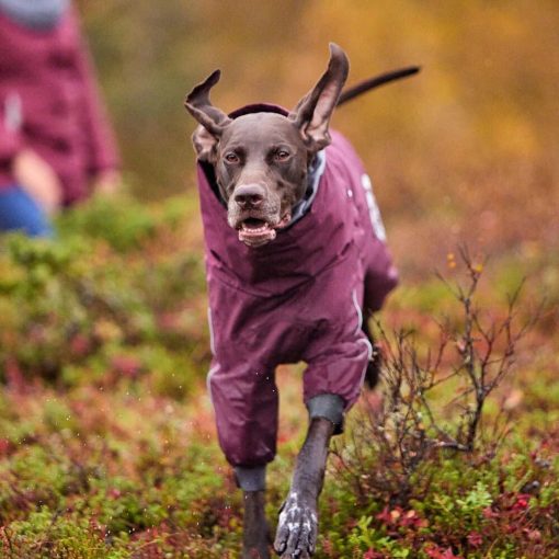 Hurtta Extreme Overall téli overál | padlizsán 30S