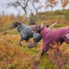 Hurtta Extreme Overall téli overál | padlizsán 30S