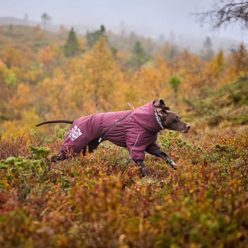 Hurtta Extreme Overall téli overál | padlizsán 35M