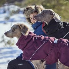 Hurtta Extreme Warmer 3 Eco téli kutyaruha | padlizsán 30