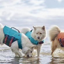 Hurtta Life Savior ECO mentőmellény | padlizsán 30-40 kg
