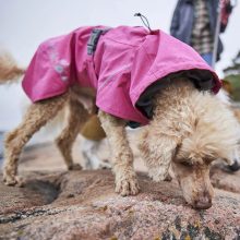 Hurtta Monsoon Coat 2 ECO esőkabát | rubin 30