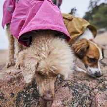 Hurtta Monsoon Coat 2 ECO esőkabát | rubin 30
