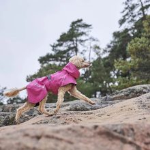 Hurtta Monsoon Coat 2 ECO esőkabát | rubin 40XS