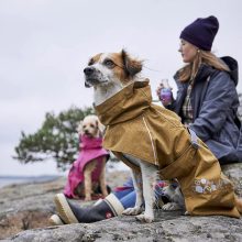 Hurtta Monsoon Coat 2 ECO esőkabát | sivatag 40XS