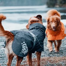 Hurtta Monsoon Coat esőkabát | fekete szeder 50