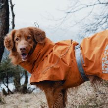 Hurtta Monsoon Coat esőkabát | varjútövis 30