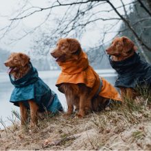 Hurtta Monsoon Coat esőkabát | varjútövis 35