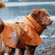 Hurtta Monsoon Coat esőkabát | varjútövis 40