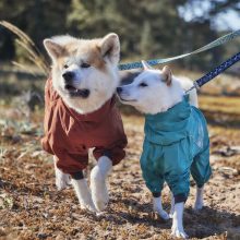 Hurtta Mudventure ECO esőoverál | fahéj 50M