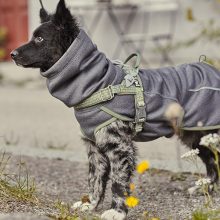 Hurtta Razzle-Dazzle Midlayer átmeneti kutyaruha | szeder 55