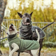 Hurtta Razzle-Dazzle Midlayer átmeneti kutyaruha | szeder 55