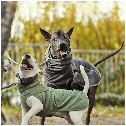 Hurtta Razzle-Dazzle Midlayer átmeneti kutyaruha | szeder 55