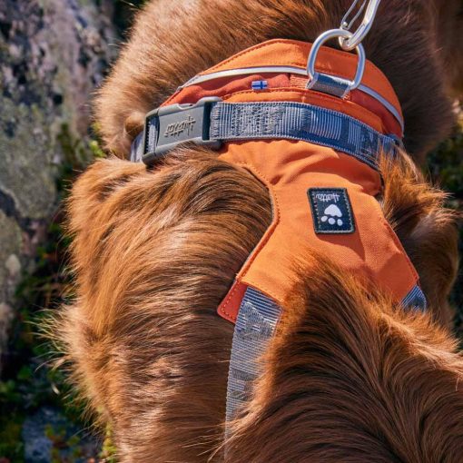 Hurtta Rover hám | fahéj 45-60