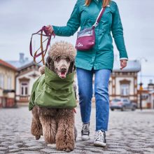 Hurtta Treat Pocket Eco táska padlizsán/szeder
