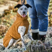 Hurtta Warming Midlayer ECO melegítő kutyaruha | sivatag 25