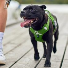 Hurtta Weekend Warrior eco hám sövény