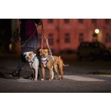 Hurtta Weekend Warrior eco hám sövény