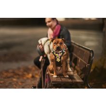 Hurtta Weekend Warrior eco hám sövény