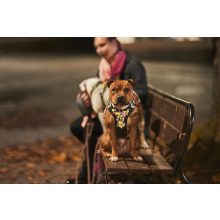 Hurtta Weekend Warrior hám coral camo