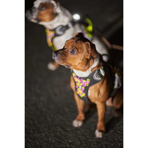 Hurtta Weekend Warrior hám coral camo