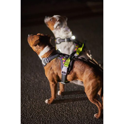 Hurtta Weekend Warrior hám coral camo