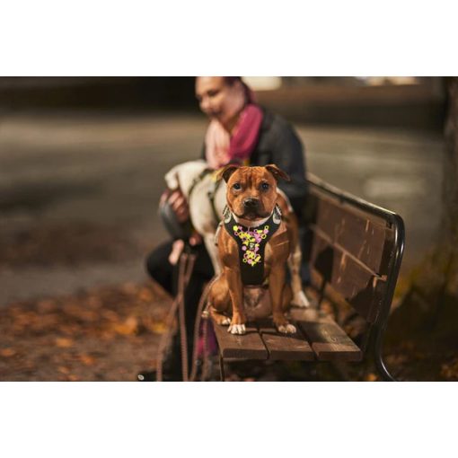 Hurtta Weekend Warrior eco hám sövény