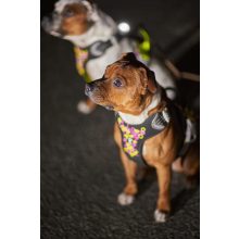 Hurtta Weekend Warrior eco hám sövény