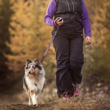 Hurtta Jogging póráz | málna