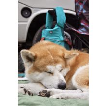 Hurtta Life Savior ECO mentőmellény | varjútövis 15-20 kg