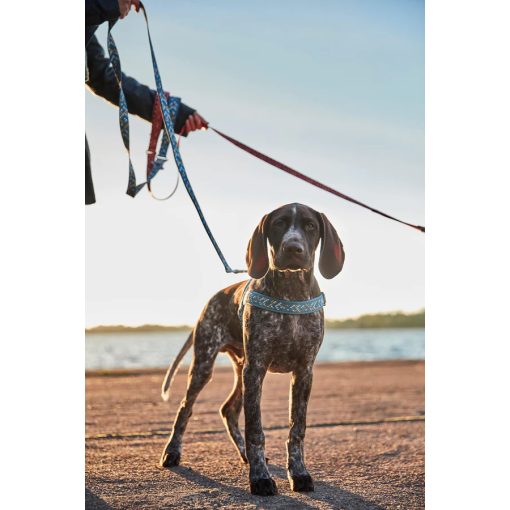 Hurtta Razzle-Dazzle norvég hám | áfonya 45-55