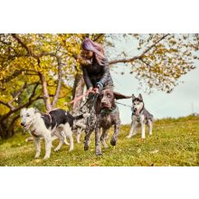 Hurtta Razzle-Dazzle norvég hám | áfonya 45-55