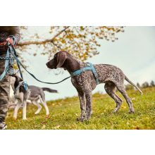 Hurtta Razzle-Dazzle norvég hám | áfonya 55-65