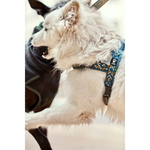 Hurtta Razzle-Dazzle norvég hám | áfonya 55-65