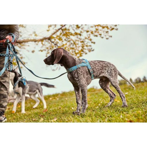 Hurtta Razzle-Dazzle norvég hám | áfonya 65-80