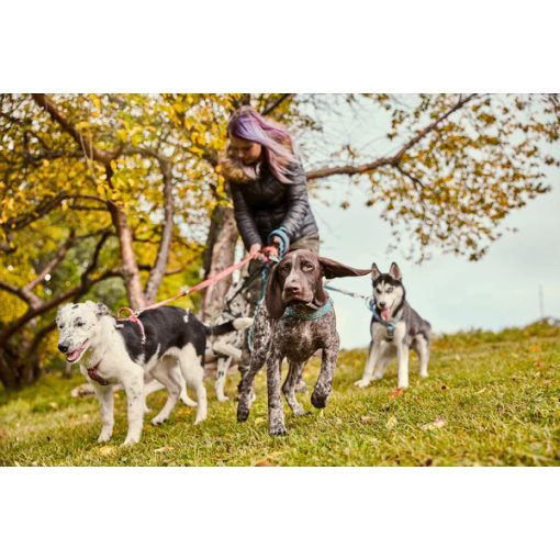 Hurtta Razzle-Dazzle norvég hám | fekete szeder 55-65