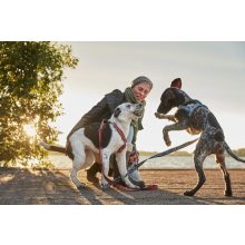 Hurtta Razzle-Dazzle Y hám | áfonya 35-45