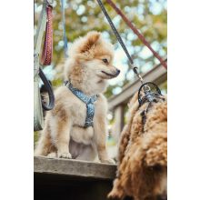 Hurtta Razzle-Dazzle Y hám | áfonya 65-80