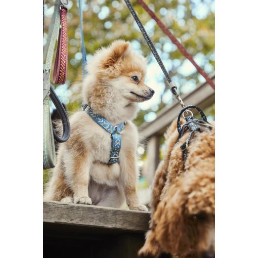 Hurtta Razzle-Dazzle Y hám | áfonya 65-80