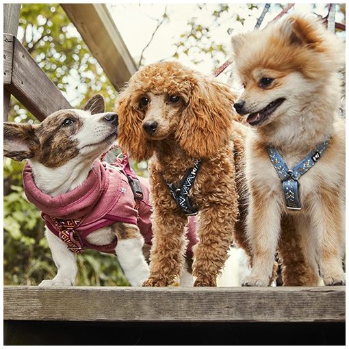 Hurtta Razzle-Dazzle Y hám | fekete szeder 45-55