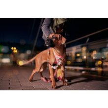 Hurtta Venture No-Pull húzásgátló hám | korall 35-40